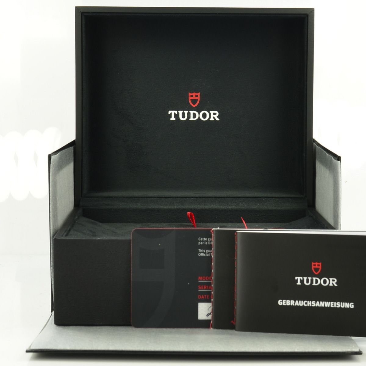 Tudor Black Bay S&G 79733N