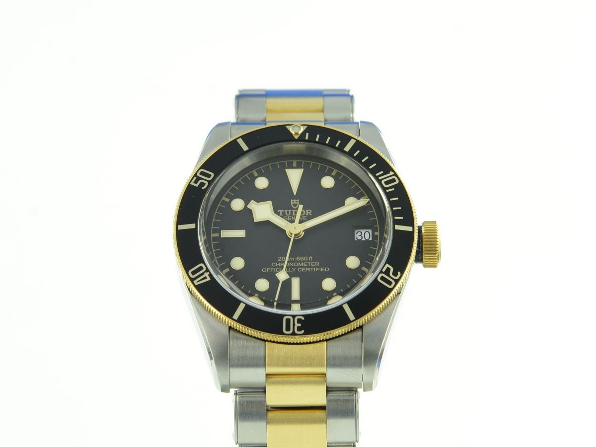 Tudor Black Bay S&G 79733N