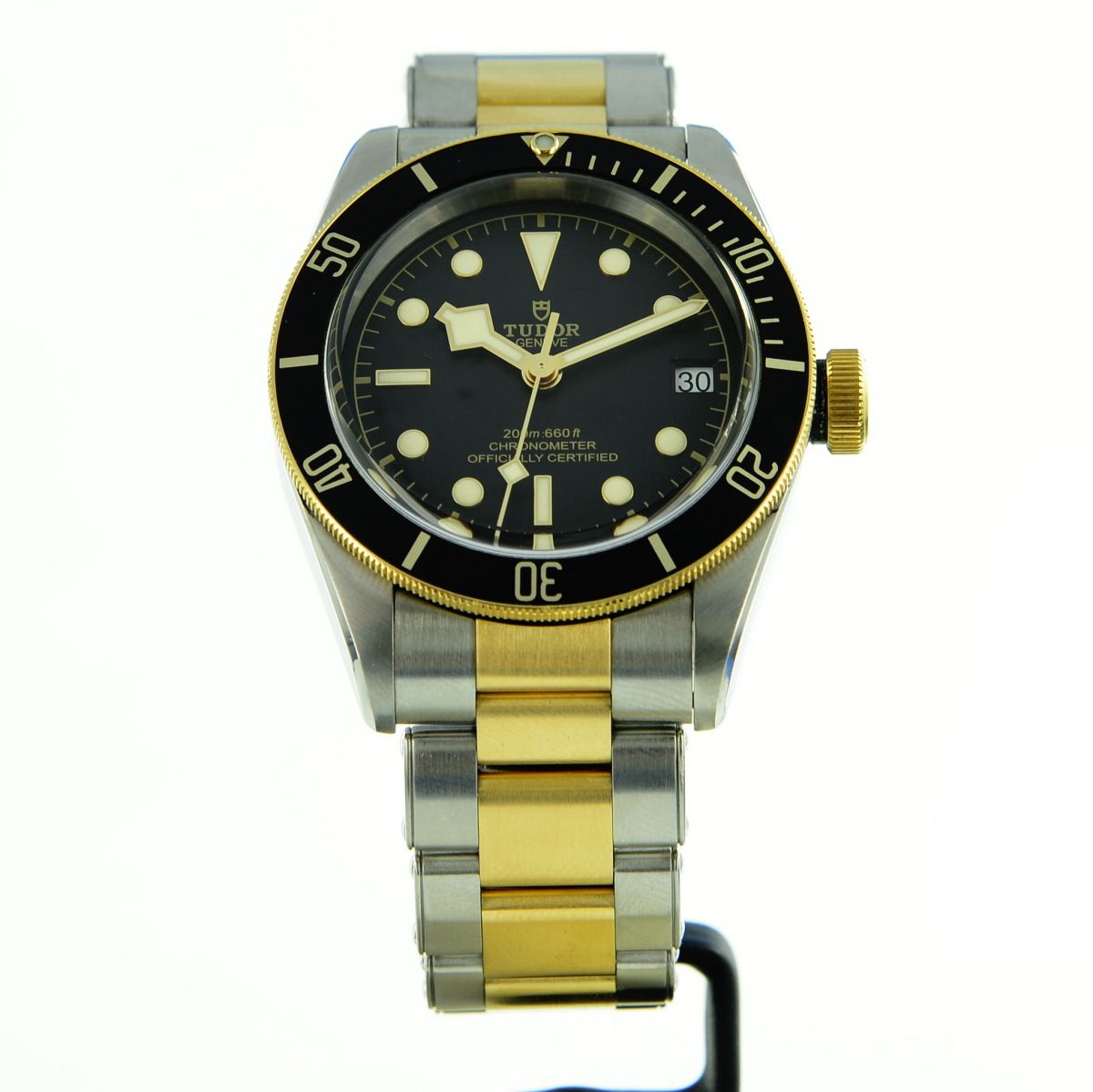 Tudor Black Bay S&G 79733N