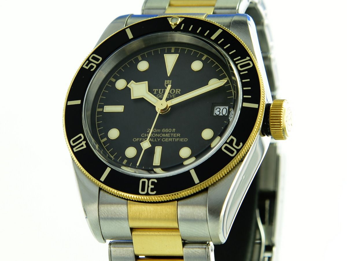 Tudor Black Bay S&G 79733N