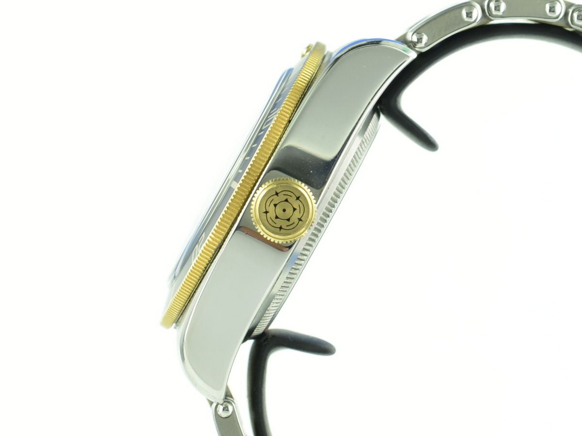 Tudor Black Bay S&G 79733N