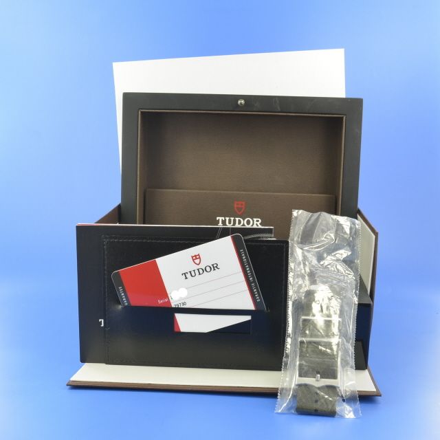 Tudor Black Bay Steel