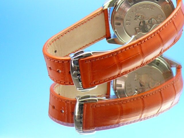 Omega Seamster Planet Ocean Chronograph 45,5 mm