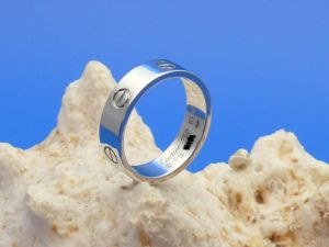 Cartier Love Ring 18K Weigold gr.61