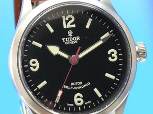 Tudor Heritage Ranger